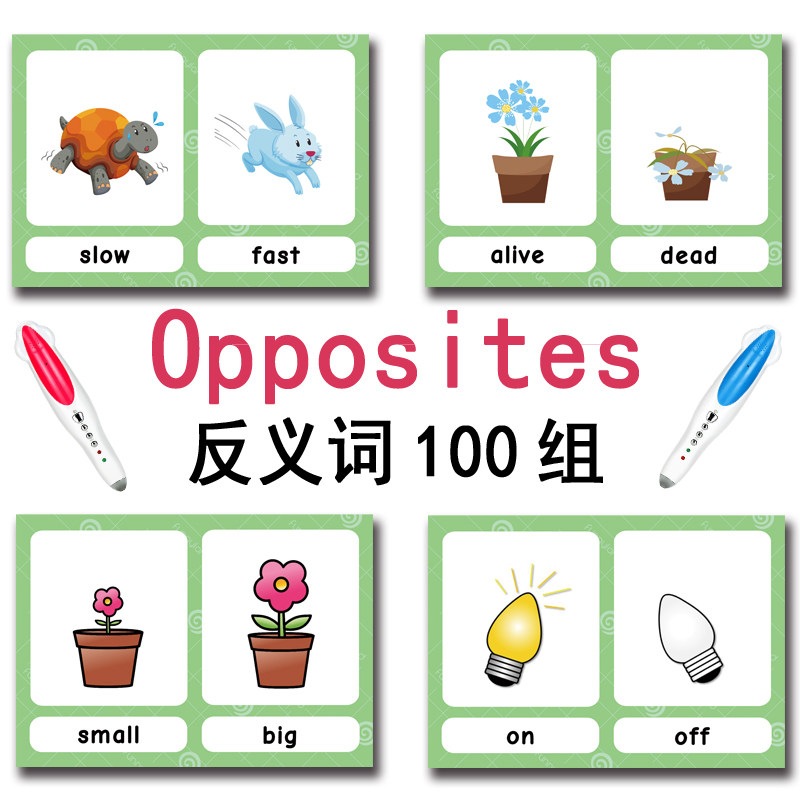 The 100 Groups Opposites Flash - Board Game English 评论和价格